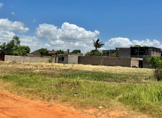 Fracção 50x50m na Costa do Sol – Dona Alice