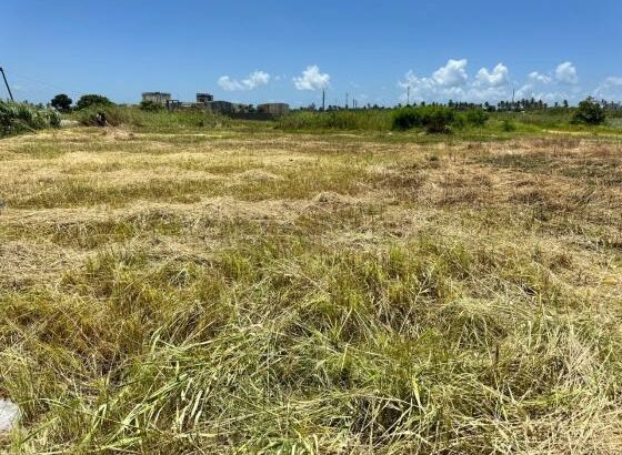 Fracção 50x50m na Costa do Sol – Dona Alice