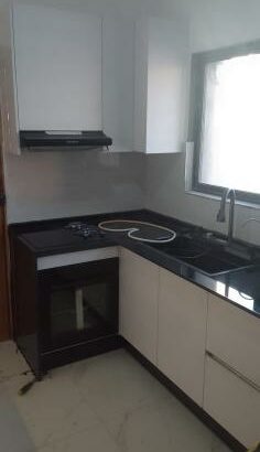 Apartamento T2 remodelado