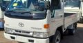 Toyota ● Toyoace ● 3L ● 4WD ● Recém-importada