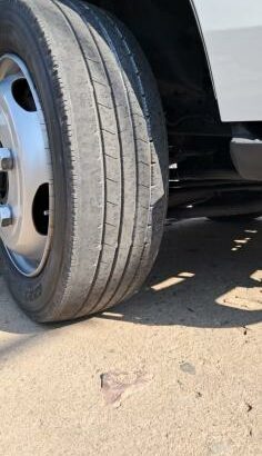 Toyota | Dyna | Automática | 2000kg | Recém-importada 🎁