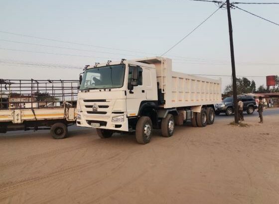 Sinotruk | Howo 371 | 28m³ | 12 rodas | 8×4