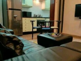 Arrenda-se Apartamento t1 na polana próximo do Talho polana