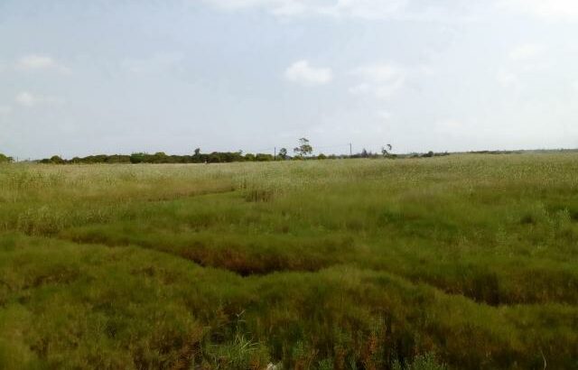 Terreno 20 Hectares na Estrada Circular Muntanhane