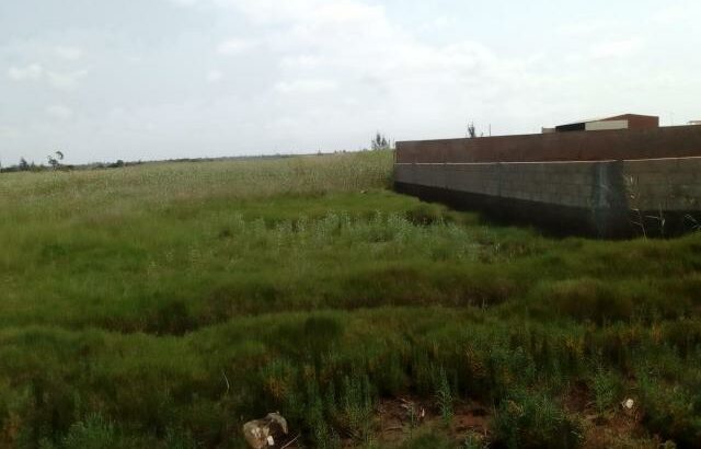 Chiango Frente a Armazéns Novos: Terreno 20/25