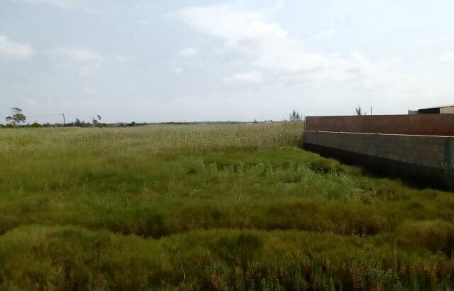 Chiango Frente a Armazéns Novos: Terreno 20/25