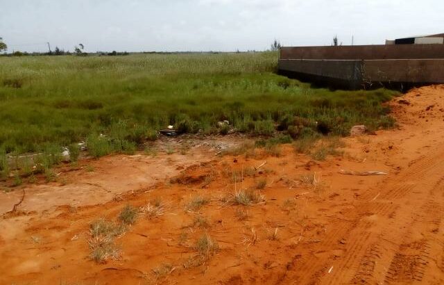 Chiango Frente a Armazéns Novos: Terreno 20/25