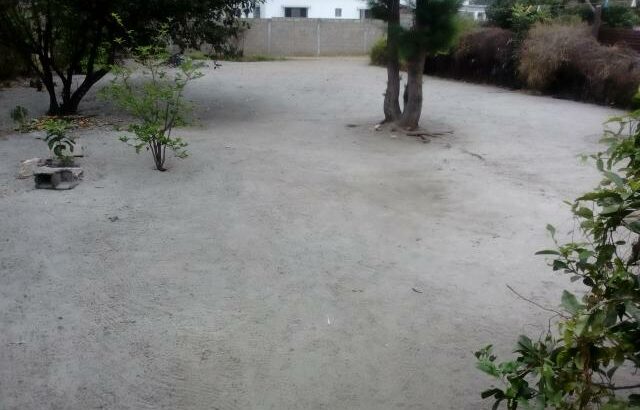 Costa do Sol Mapulene: Terreno 16/33 Há 320 Metros da Estrada