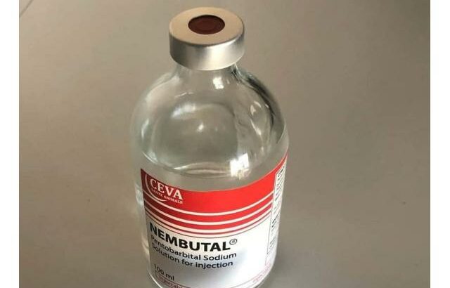 Nembutal pentobarbital, rubifen, pasportes, identificação, licença de condução