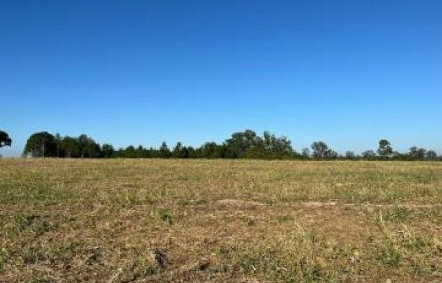 Terreno 62 Hectares na Estrada Circular Muntanhana Marracuene