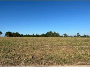 Terreno 62 Hectares na Estrada Circular Muntanhana Marracuene