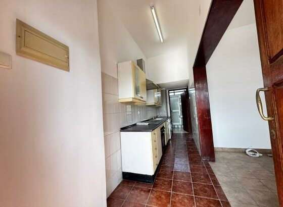 Tipo 1 na cidade de Maputo aproveita