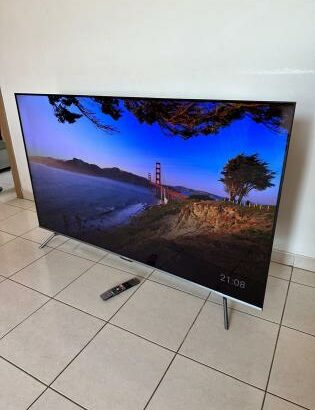 TV Skyworth 55 moderna