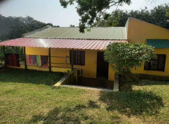 vende-se vivenda t3 na ponta d’OURO próximo ao centro de saúde