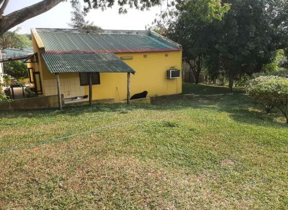 vende-se vivenda t3 na ponta d’OURO próximo ao centro de saúde