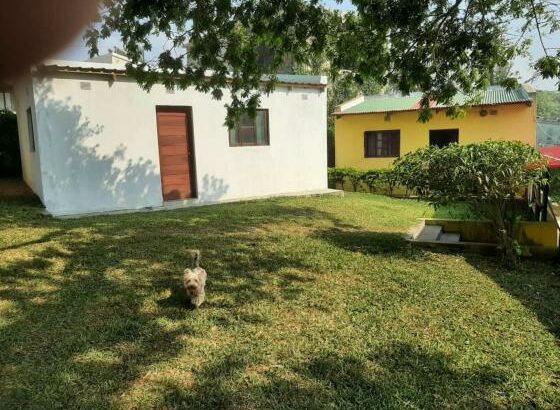 vende-se vivenda t3 na ponta d’OURO próximo ao centro de saúde