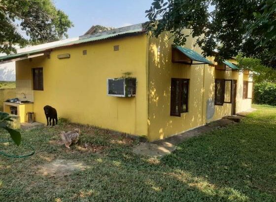 vende-se vivenda t3 na ponta d’OURO próximo ao centro de saúde