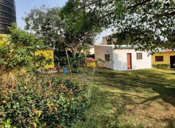 vende-se vivenda t3 na ponta d’OURO próximo ao centro de saúde