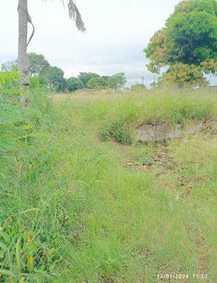 TRANSPASSE DE TERRENO NA AV. JULIUS NYERERE PRÓXIMO AO CONDOMÍNIO MASSALA / EMBAIXADA DA TAILANDIA