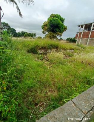 TRANSPASSE DE TERRENO NA AV. JULIUS NYERERE PRÓXIMO AO CONDOMÍNIO MASSALA / EMBAIXADA DA TAILANDIA
