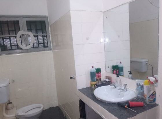 Tipo 2 na cidade de Maputo aproveita