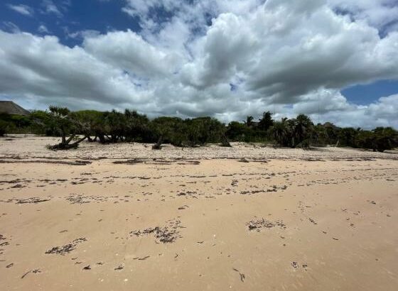 Terreno com 5 hectares na Praia de Vilanculos ⛱️