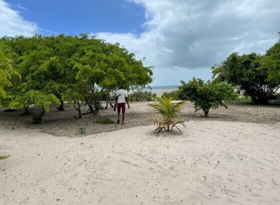 Terreno com 5 hectares na Praia de Vilanculos ⛱️