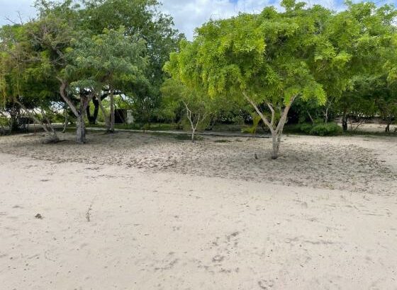 Terreno com 5 hectares na Praia de Vilanculos ⛱️