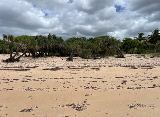 Terreno com 5 hectares na Praia de Vilanculos ⛱️