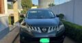 Nissan Murano 2011 Comprado no Parque