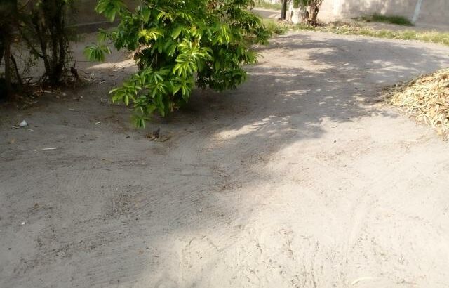 Trespasso Terreno 17/33 Arenoso &Seco: Costa do sol