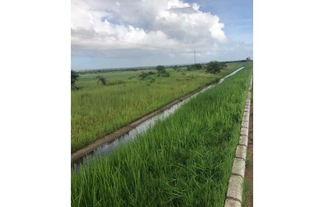 Terreno na Estrada Circular 16 Hectares: Muntanhane