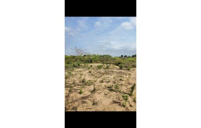 TERRENO DE 30/40M A VENDA EM KATEMBE – CHAMISSAVA
