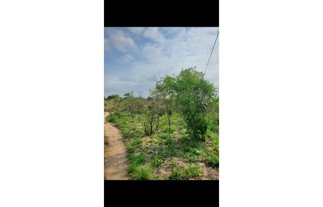 TERRENO DE 30/40M A VENDA EM KATEMBE – CHAMISSAVA