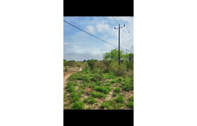 TERRENO DE 30/40M A VENDA EM KATEMBE – CHAMISSAVA