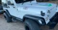 Jeep Wrangler 4.0 Gasolina 4X4