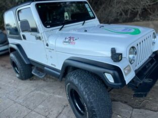 Jeep Wrangler 4.0 Gasolina 4X4