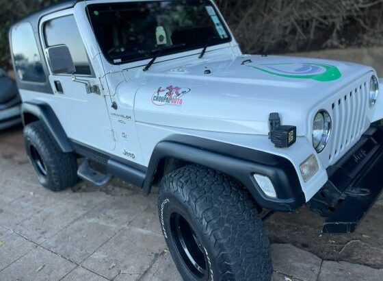 Jeep Wrangler 4.0 Gasolina 4X4