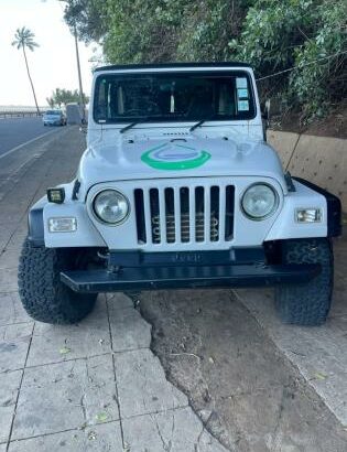 Jeep Wrangler 4.0 Gasolina 4X4