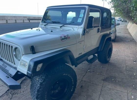 Jeep Wrangler 4.0 Gasolina 4X4