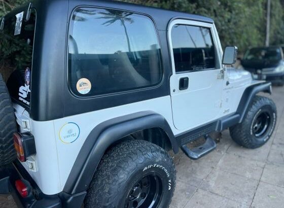 Jeep Wrangler 4.0 Gasolina 4X4