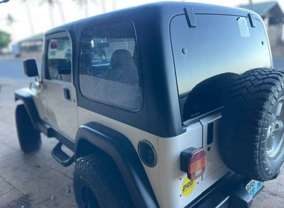 Jeep Wrangler 4.0 Gasolina 4X4