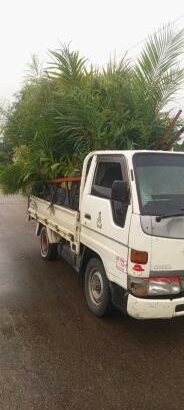 Toyota Hiace 3L Manual 4X4