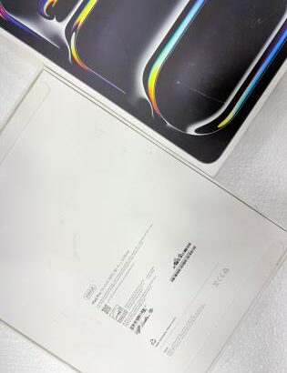 IPAD PRO (M5) 13” 256gb WiFi + Celular  ( Space Black Standard Glass )