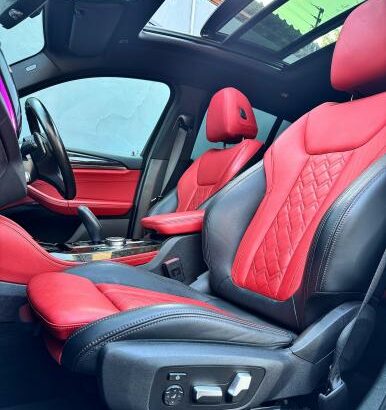 BMW X4 2020 PANORAMIC INDIVIDUAL  RECEM IMPORTADO
