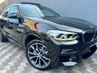BMW X4 2020 PANORAMIC INDIVIDUAL  RECEM IMPORTADO
