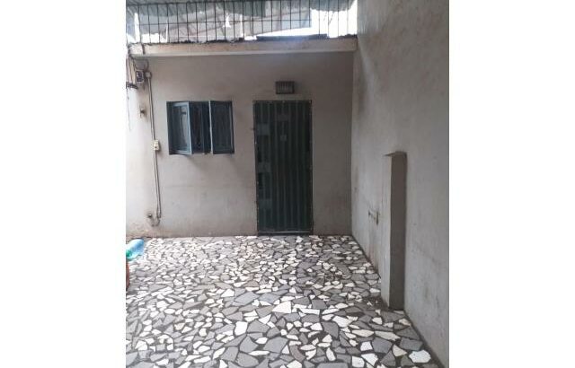 Geminada av Marien Ngouabi com Vladimir Lenine