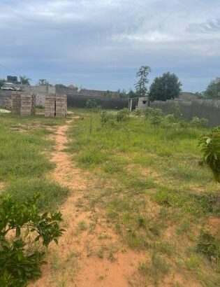 Vende-se  Terreno-20/40 Bairro Marracuene  Perto da vila pitanga  5minutos da estrada  Com,furo de água 💦  Documento-Duat. Preço-1.375,000.00MT