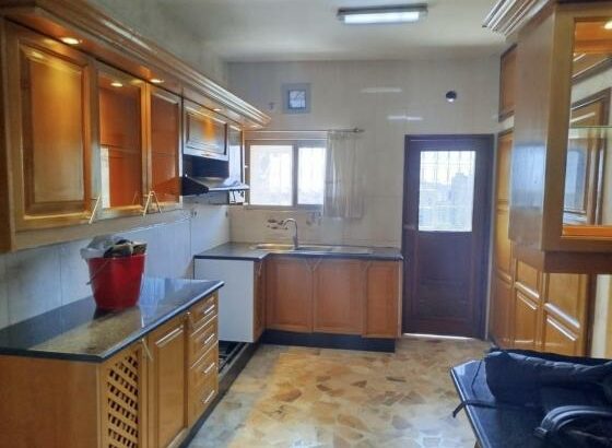 Apartamento Remodelado T3