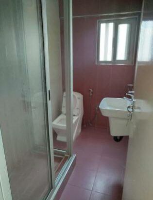 Apartamento Remodelado T3